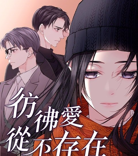 仿佛爱从不存在封面